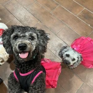 Meet your Posher, Lorena